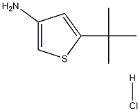 3-Amino-5-tert-butylthiophene hydrochloride CAS#: 75782-77-3