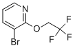 3-BROMO-2-(2,2,2-TRIFLUORO-ETHOXY)-PYRIDINE CAS#: 760207-89-4