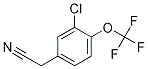 3-Chloro-4-(trifluoroMethoxy)phenylacetonitrile CAS#: 78240-45-6