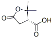 3-Furancarboxylicacid,tetrahydro-2,2-dimethyl-5-oxo-,(3R)-(9CI) CAS#: 783349-41-7