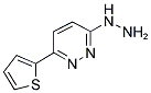 3-HYDRAZINO-6-(2-THIENYL)PYRIDAZINE CAS#: 75792-87-9