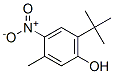 3-Methyl-6-tert-butyl-4-nitrophenol CAS#: 72373-70-7