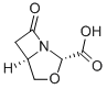 3-Oxa-1-azabicyclo[3.2.0]heptane-2-carboxylicacid,7-oxo-,cis-(9CI) CAS#: 781569-94-6