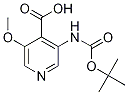 3-(TERT-BUTOXYCARBONYLAMINO)-5-METHOXYISONICOTINIC ACID CAS#: 709666-22-8