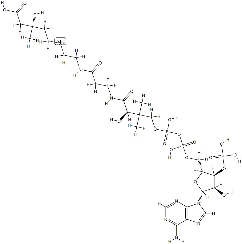 3-hydroxy-3-methyl-4-carboxybutyl-coenzyme A CAS#: 78901-91-4