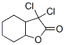 3,3-dichlorohexahydro-3H-benzofuran-2-one CAS#: 72406-97-4