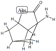 3,5-Methano-2H-cyclopenta[b]furan-2-one,3-aminohexahydro-(9CI) CAS#: 78879-49-9
