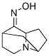 3,7-Methanoindolizin-8(5H)-one,hexahydro-,oxime(9CI) CAS#: 739325-15-6