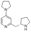 4-(1-PYRROLIDINYL)-2-[(2S)-2-PYRROLIDINYLMETHYL]PYRIDINE CAS#: 748788-98-9