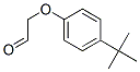 [4-(1,1-dimethylethyl)phenoxy]acetaldehyde CAS#: 72928-50-8