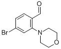 4-BROMO-2-(N-MORPHOLINO)-BENZALDEHYDE CAS#: 736990-80-0