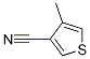 4-Methylthiophene-3-carbonitrile CAS#: 73229-39-7