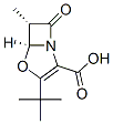 4-Oxa-1-azabicyclo[3.2.0]hept-2-ene-2-carboxylicacid,3-(1,1-dimethylethyl)-6-methyl-7-oxo-,cis-(9CI) CAS#: 781584-92-7