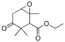 4-Oxo-1,3,3-trimethyl-7-oxabicyclo[4.1.0]heptane-2-carboxylic acid ethyl ester CAS#: 75800-49-6
