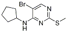 4-PyriMidinaMine, 5-broMo-N-cyclopentyl-2-(Methylthio)- CAS#: 733039-23-1