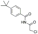 4-TERT-BUTYL-N-(CHLOROACETYL)BENZAMIDE CAS#: 743452-51-9