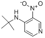 4-(TERT-BUTYLAMINO)-3-NITROPYRIDINE CAS#: 79371-43-0