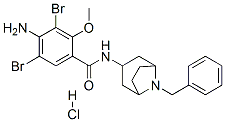 4-amino-N-(8-benzyl-8-azabicyclo[3.2.1]oct-3-yl)-3,5-dibromo-2-methoxy -benzamide hydrochloride CAS#: 76352-19-7