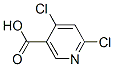 4,6-DichloronicotinicAcid CAS#: 73029-79-9
