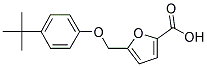 5-(4-TERT-BUTYL-PHENOXYMETHYL)-FURAN-2-CARBOXYLIC ACID CAS#: 74556-54-0