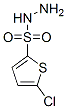 5-CHLOROTHIOPHENE-2-SULFONOHYDRAZIDE CAS#: 78380-28-6