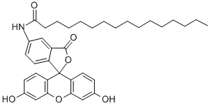 5-HEXADECANOYLAMINOFLUORESCEIN CAS#: 73024-80-3
