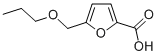 5-(Propoxymethyl)-2-furoic acid CAS#: 758721-16-3