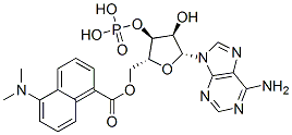 (5-(dimethylamino)-1-naphthoyl)adenosine monophosphate CAS#: 72947-53-6