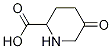 5-oxopiperidine-2-carboxylic acid CAS#: 789448-80-2