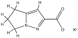 5,6-dihydro-4H-Pyrrolo[1,2-b]pyrazole-2-carboxylic acid, potassiuM salt (1:1) CAS#: 799781-96-7