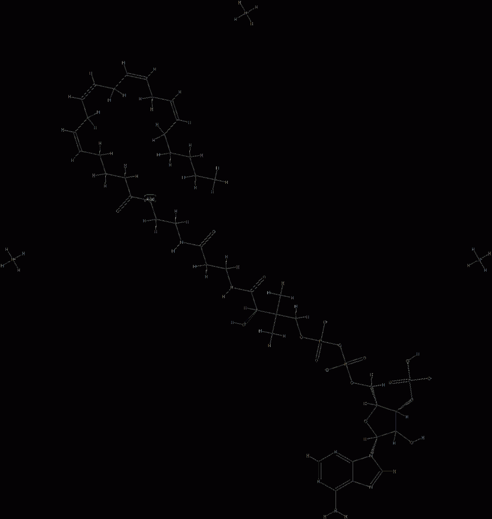(5Z,8Z,11Z,14Z-eicosatetraenoyl) CoenzyMe A (aMMoniuM salt) CAS#: 799812-93-4