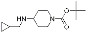tert-butyl 4-[(cyclopropylMethyl)aMino]piperidine-1-carboxylate CAS#: 710973-92-5