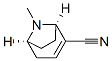 8-Azabicyclo[3.2.1]oct-2-ene-2-carbonitrile,8-methyl-,(1R,5S)-(9CI) CAS#: 776294-65-6