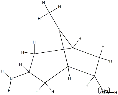 8-Azabicyclo[3.2.1]octan-6-ol,3-amino-8-methyl-(9CI) CAS#: 787524-67-8