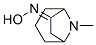 8-Azabicyclo[3.2.1]octan-6-one,8-methyl-,oxime(9CI) CAS#: 777824-48-3
