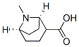 8-Azabicyclo[3.2.1]octane-2-carboxylicacid,8-methyl-,(1R,5R)-(9CI) CAS#: 767270-37-1