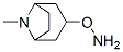 8-Azabicyclo[3.2.1]octane,3-(aminooxy)-8-methyl-,exo-(9CI) CAS#: 764622-66-4