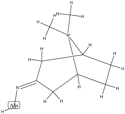 8-Azoniabicyclo[3.2.1]octane,3-(hydroxyimino)-8,8-dimethyl-(9CI) CAS#: 754135-38-1