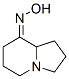 8(5H)-Indolizinone,hexahydro-,oxime,(+)-(9CI) CAS#: 737693-69-5