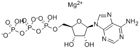 ADENOSINE 5'-TRIPHOSPHATE MAGNESIUM SALT CAS#: 74804-12-9