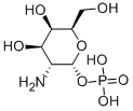 ALPHA-D-GALACTOSAMINE 1-PHOSPHATE CAS#: 75656-33-6