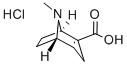 ANHYDROECGONINE HYDROCHLORIDE CAS#: 74242-55-0