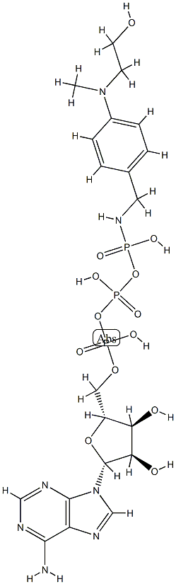 ATP gamma-(4-(N-(2-hydroxyethyl)-N-methylamino)benzylamide) CAS#: 74536-50-8