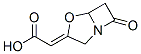 Acetic acid, (7-oxo-4-oxa-1-azabicyclo[3.2.0]hept-3-ylidene)-, (Z)- (9CI) CAS#: 771428-28-5