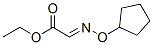 Acetic acid, (cyclopentyloxy)imino-, ethyl ester (9CI) CAS#: 755743-16-9
