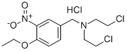 BENZYLAMINE, N,N-BIS(2-CHLOROETHYL)-4-ETHOXY-3-NITRO-, HYDROCHLORIDE CAS#: 77905-52-3