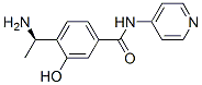 Benzamide, 4-(1-aminoethyl)-3-hydroxy-N-4-pyridinyl-, (R)- (9CI) CAS#: 757165-17-6
