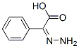 Benzeneacetic acid, alpha-hydrazono-, (Z)- (9CI) CAS#: 753400-11-2