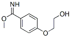 Benzenecarboximidic acid, 4-(2-hydroxyethoxy)-, methyl ester (9CI) CAS#: 790602-34-5