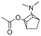 Bicyclo[2.2.1]heptan-2-ol, 3-(dimethylamino)-, acetate (ester), (endo,endo)- (9CI) CAS#: 779268-13-2